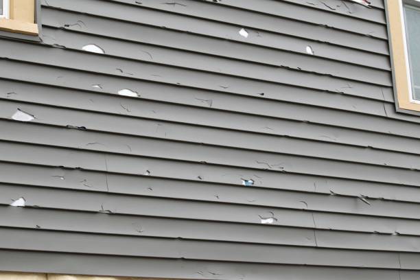 Best Siding for New Construction  in New Holland, PA