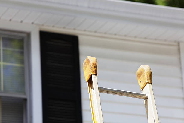 Best Steel Siding Installation  in New Holland, PA